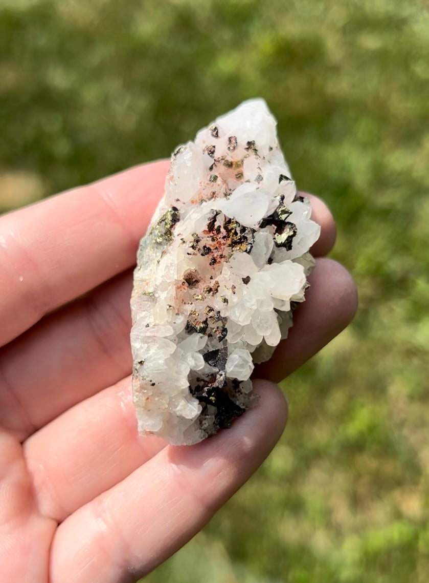 Quartz with Pyrite | B
