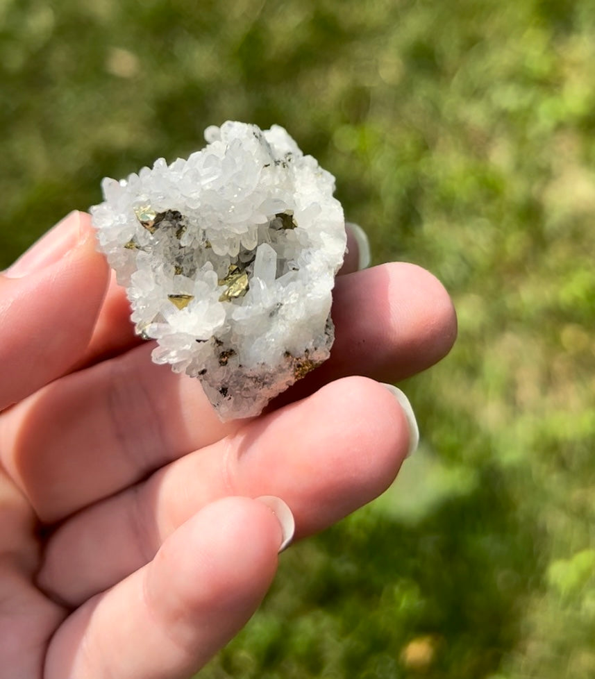 Quartz with Pyrite | C