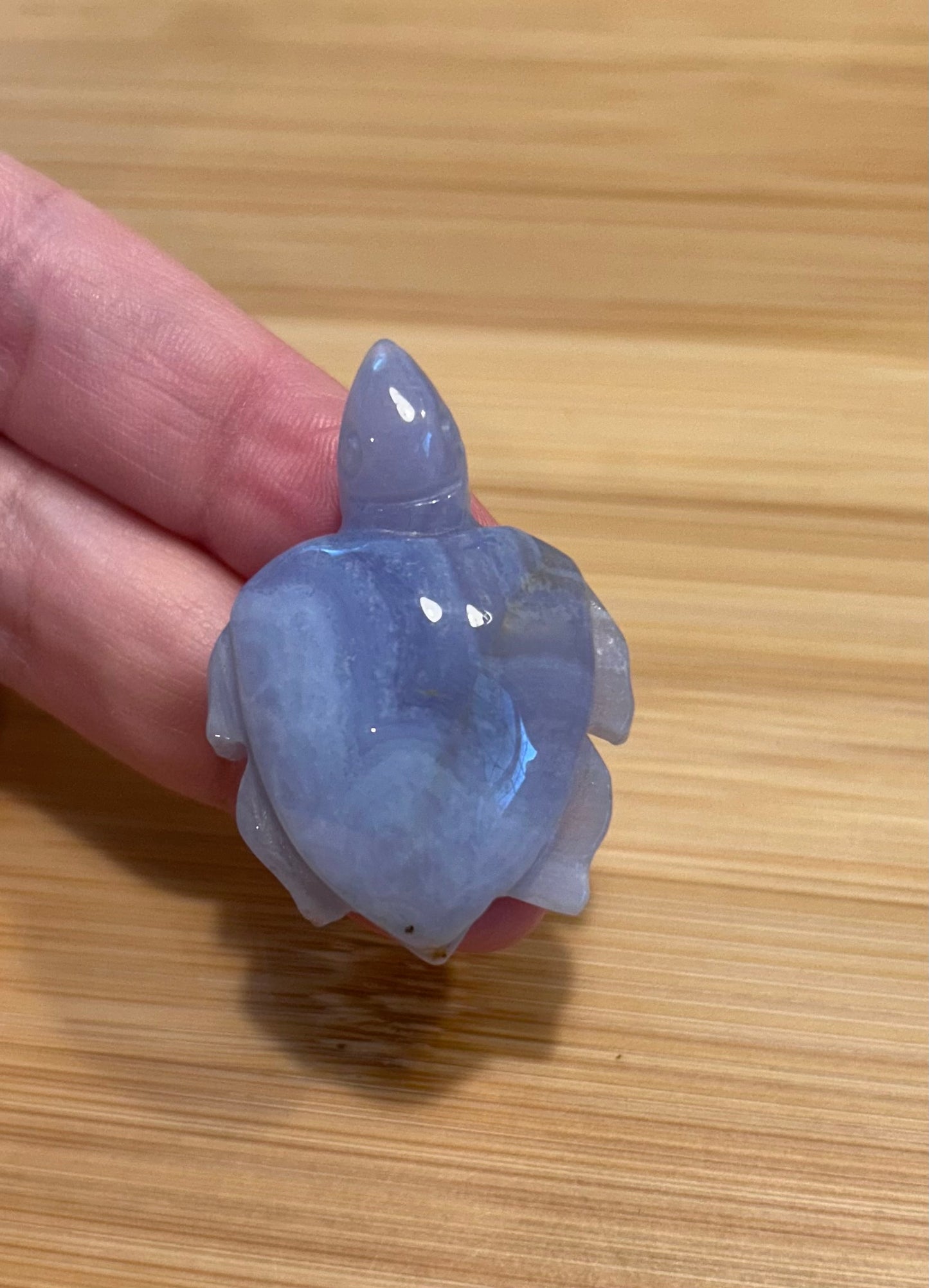 Blue Lace Agate Turtle Carving | Small