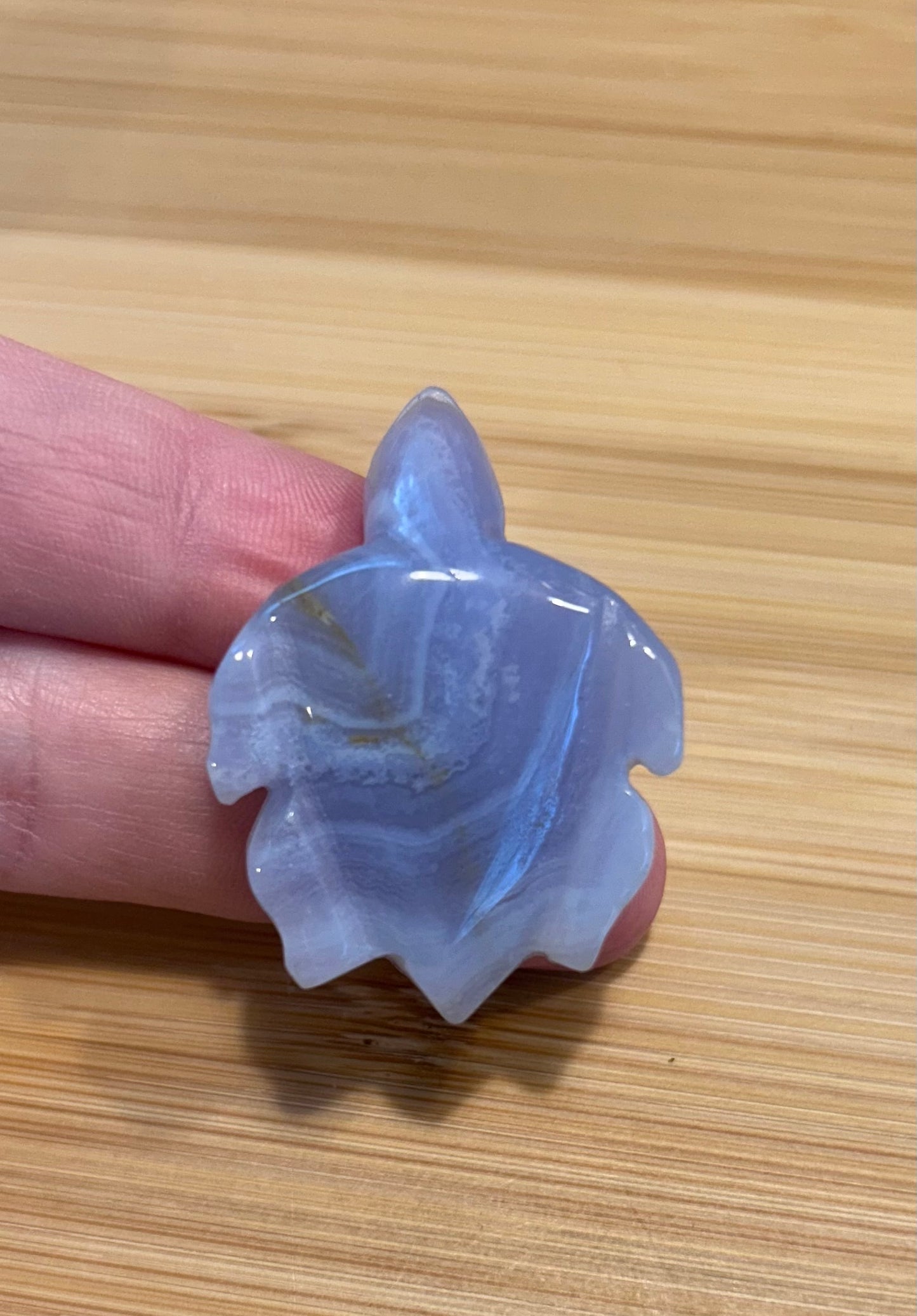 Blue Lace Agate Turtle Carving | Small