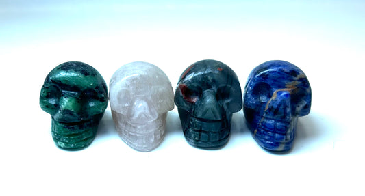Mystery Mini Skull