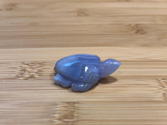 Blue Lace Agate Turtle Carving | Small